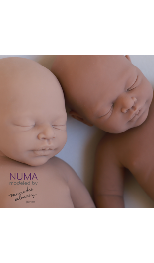 Numa unpainted