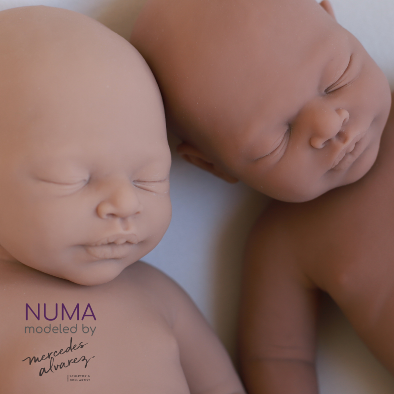Numa unpainted