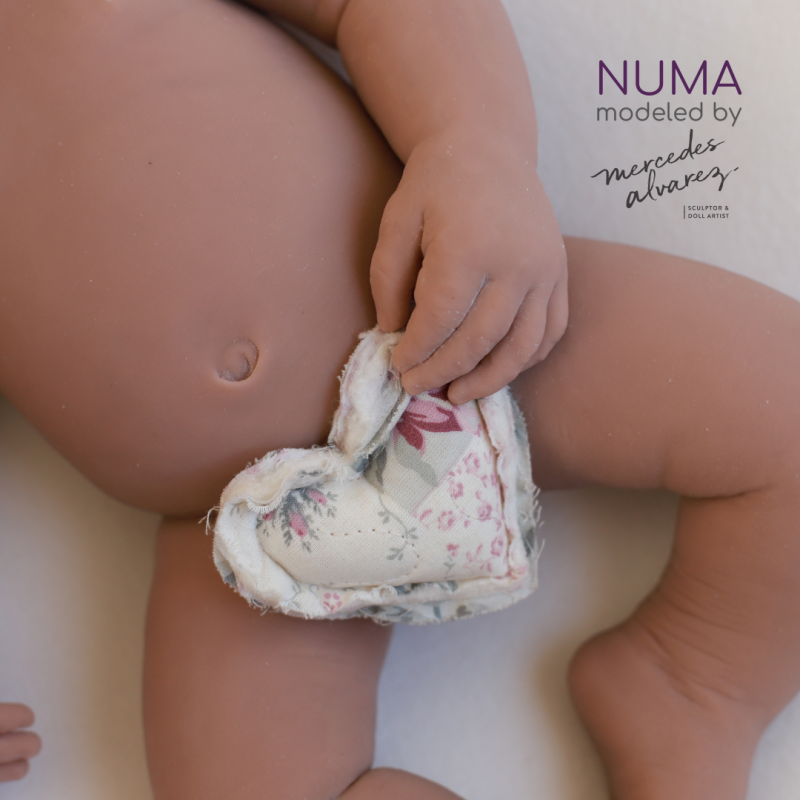 Numa unpainted