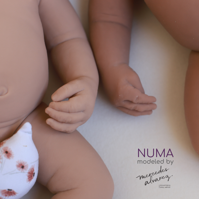 Numa sin pintar
