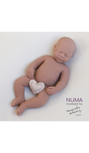 Numa unpainted