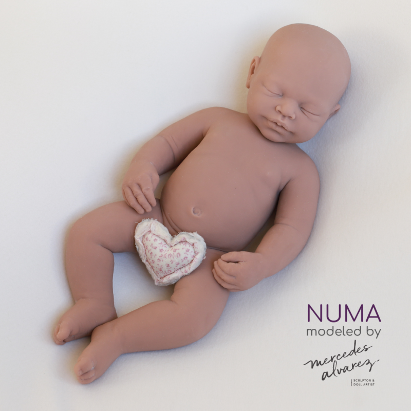 Numa unpainted