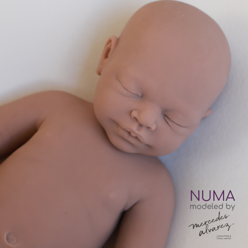 Numa unpainted
