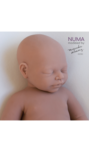 Numa unpainted