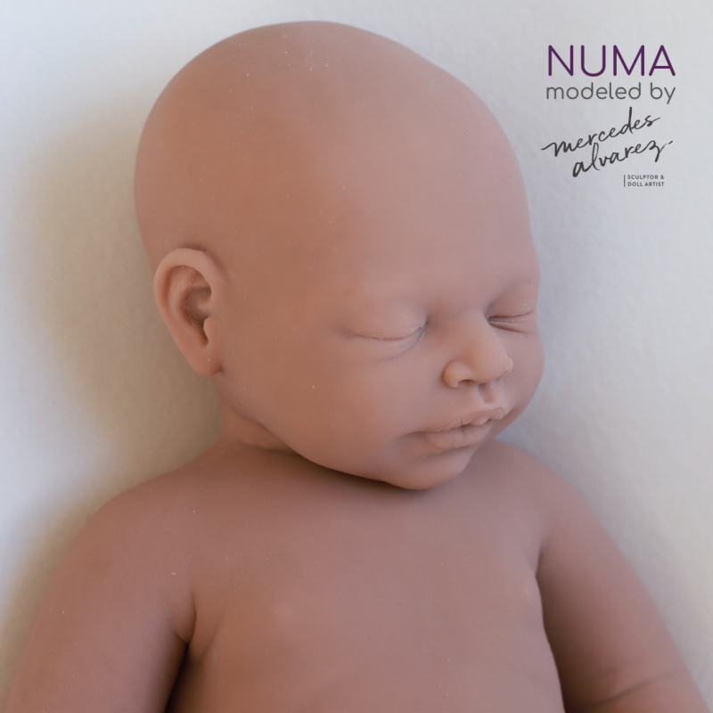 Numa unpainted