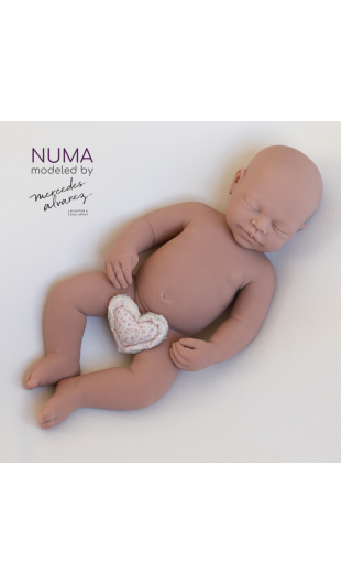 Numa unpainted