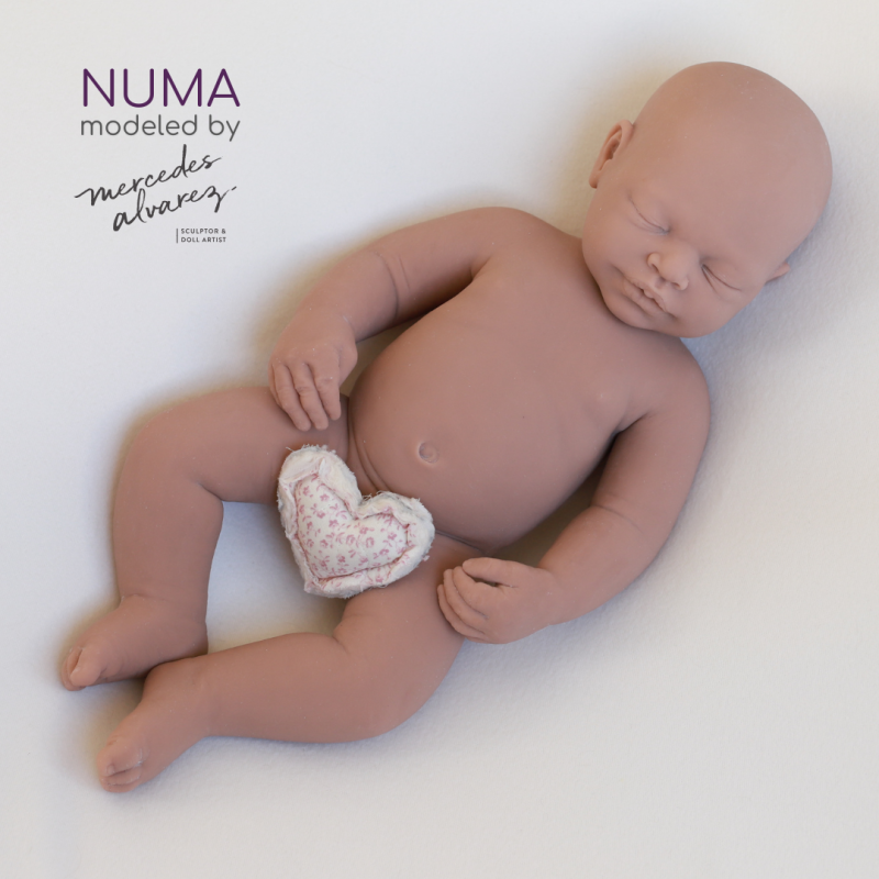 Numa sin pintar