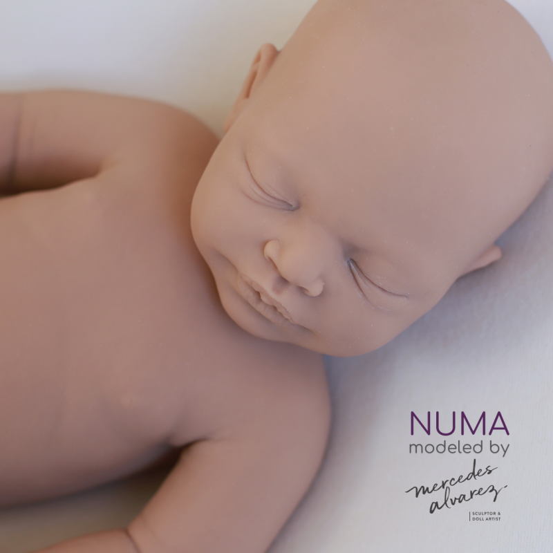 Numa unpainted