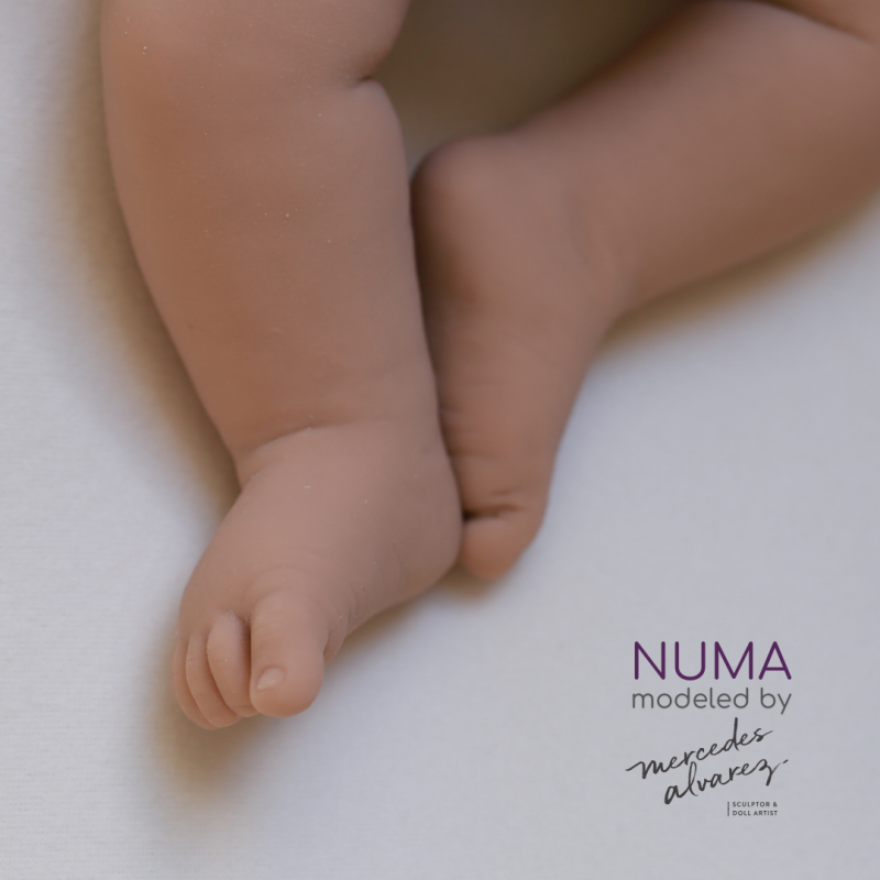 Numa unpainted