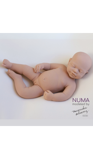 Numa unpainted