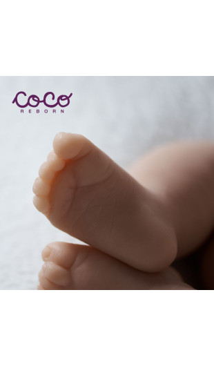 Alma Dreams sin pintar