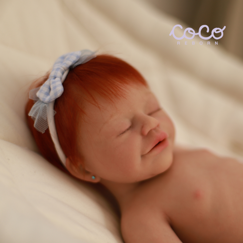 Anuk Dreams