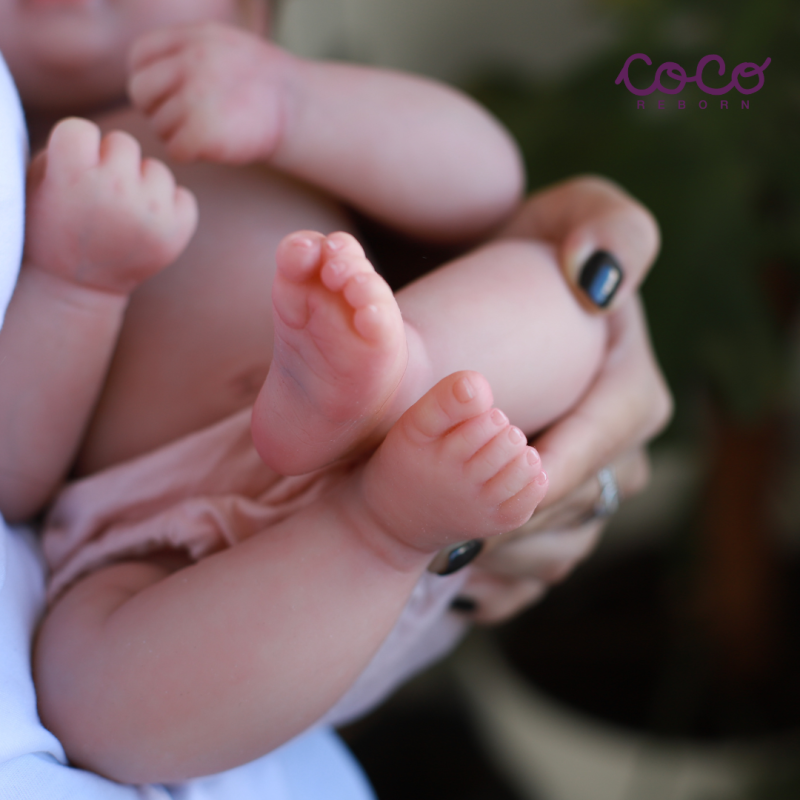 Alma Dreams
