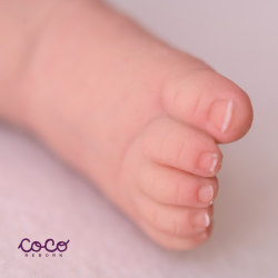 Galilea chocolate ojos grises