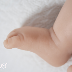 Alma Dreams sin pintar