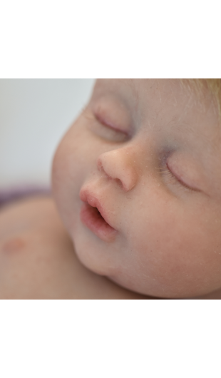 Alma Dreams sin pintar