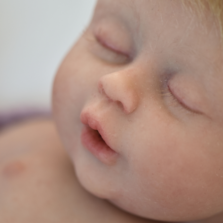 Alma Dreams sin pintar