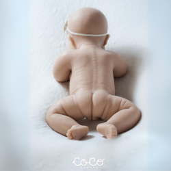 Alma Dreams unpainted