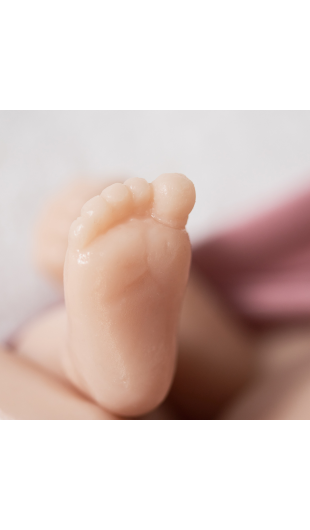 Lily Dreams unpainted