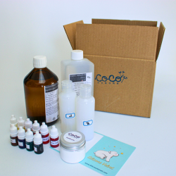 Silicone painting kit