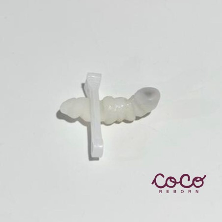 Magnetized Umbilical Cord