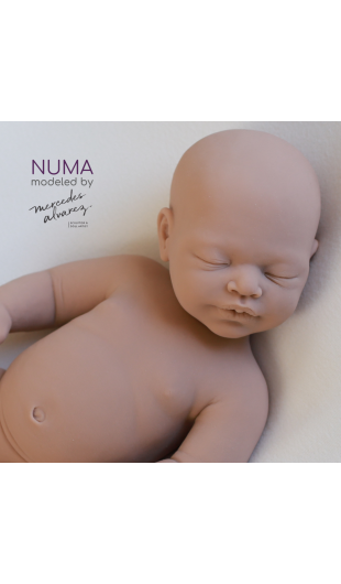 Numa unpainted