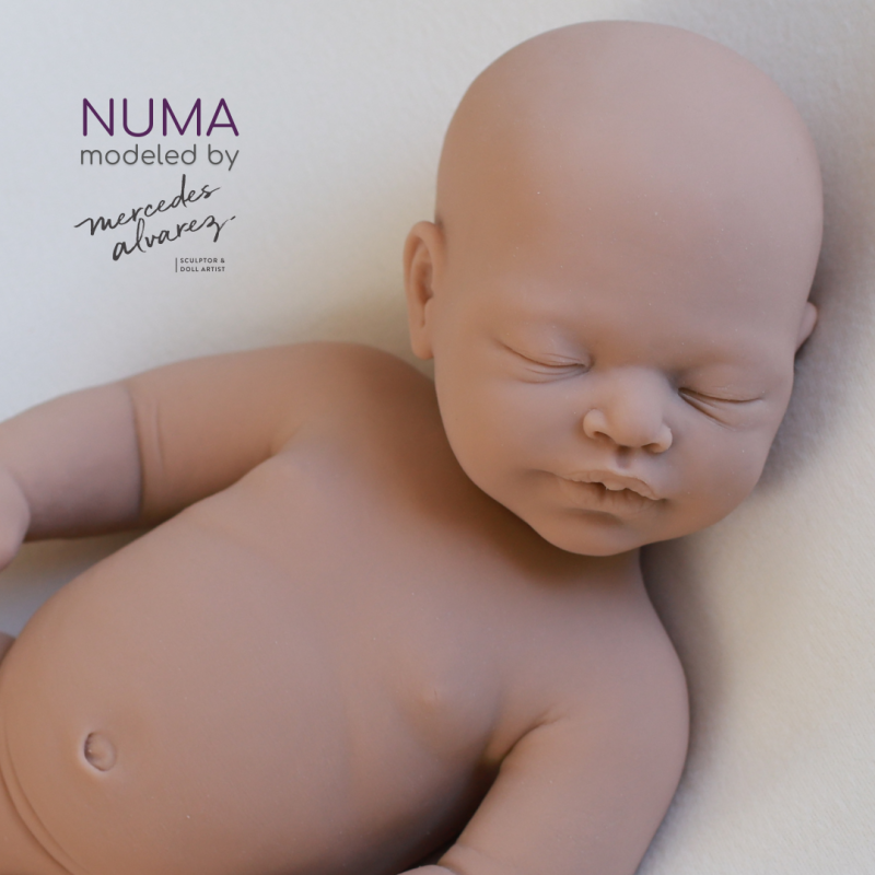 Numa unpainted