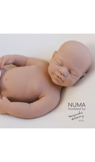 Numa unpainted