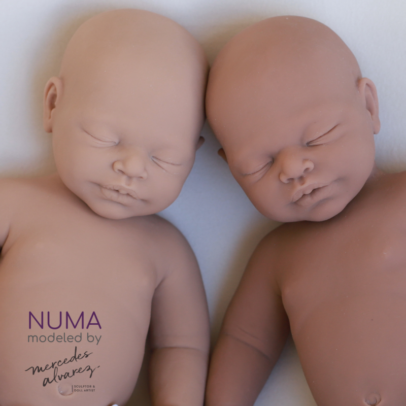 Numa sin pintar